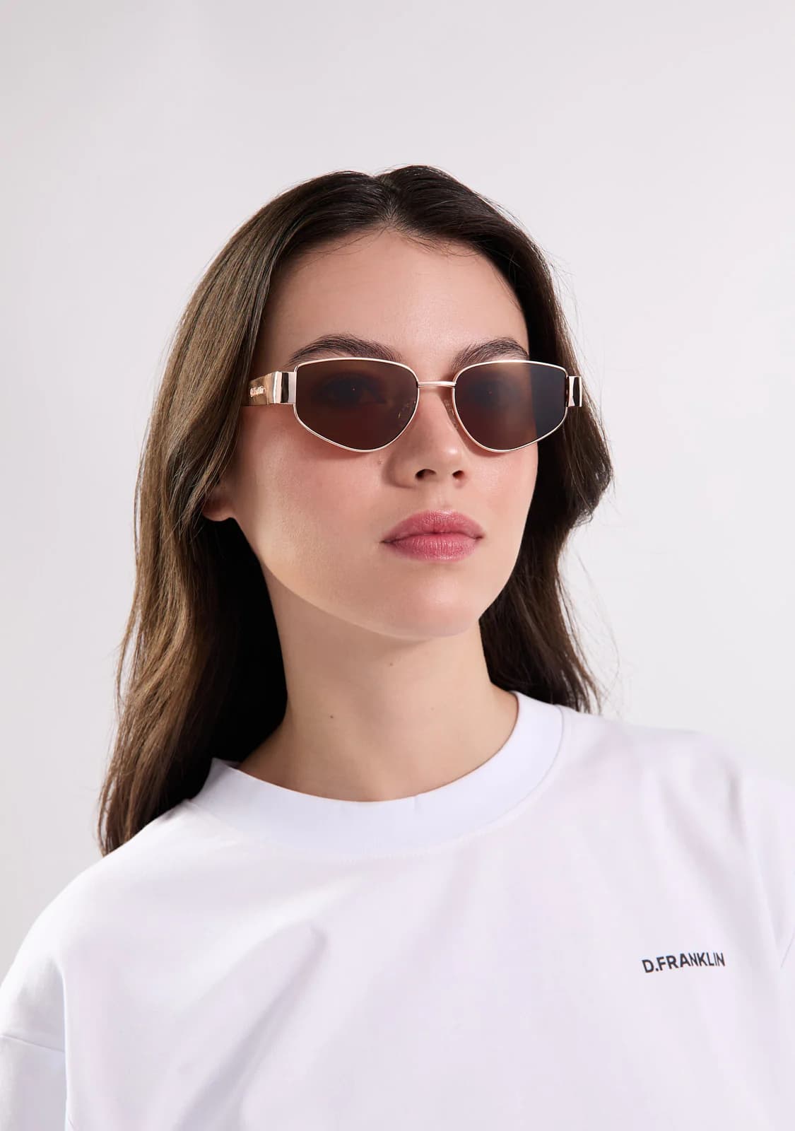عینک آفتابی دی فرانکلین مدل D.franklin Cuprum Pilot Rose Gold / Brown