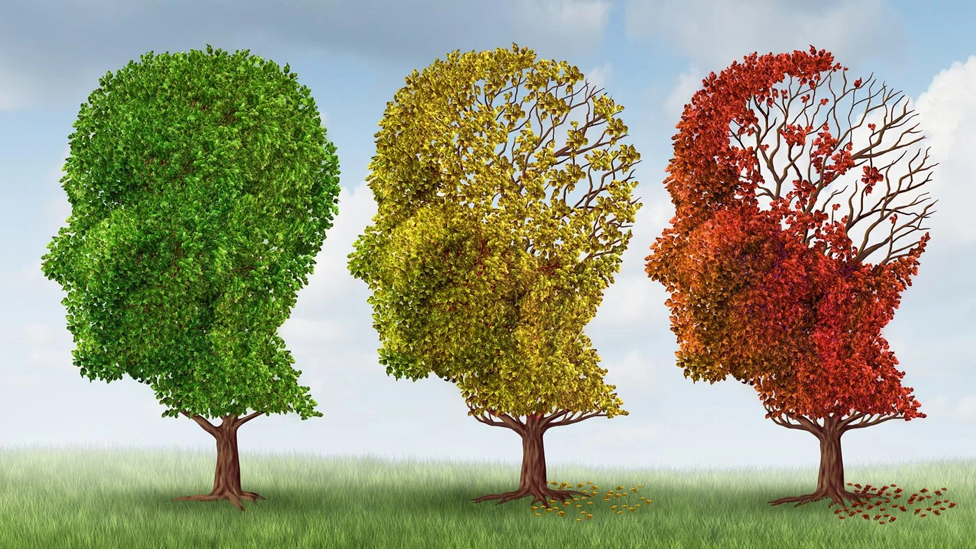 تشخیص آلزایمر با تست بینایی