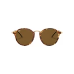 عینک آفتابی ریبن RayBan RB2447S 1160