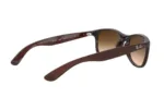عینک آفتابی ریبن RayBan RB 4202S - Image 3
