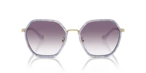 عینک آفتابی کوچ Coach HC7167B