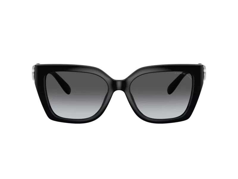 HC_8408U_5002T3_55 عینک آفتابی کوچ Coach HC8408U 5002T3 - Image 1