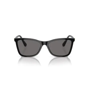 عینک آفتابی سواروسکی Swarovski SK 6004S Polarized