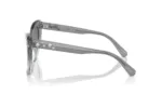 عینک آفتابی سواروسکی Swarovski SK6020S - Image 3
