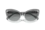 عینک آفتابی سواروسکی Swarovski SK6020S - Image 5