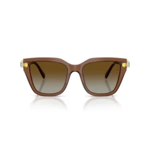 عینک آفتابی سواروسکی Swarovski SK 6041S Polarized