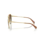 عینک آفتابی سواروسکی Swarovski SK7005S Polarized - Image 2