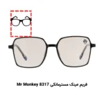 پکیج تست عینک طبی برای صورت کشیده مستطیلی (۱۰ عددی) - Image 11