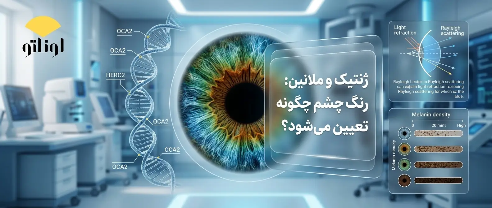 رنگ چشم چگونه تعیین می‌شود؟ (ژنتیک و ملانین)
