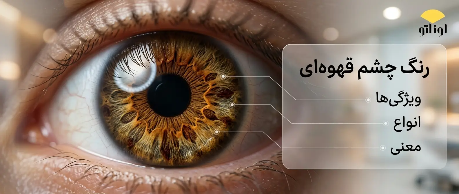 رنگ چشم قهوه‌ای | ویژگی‌ها، انواع و معنی آن
